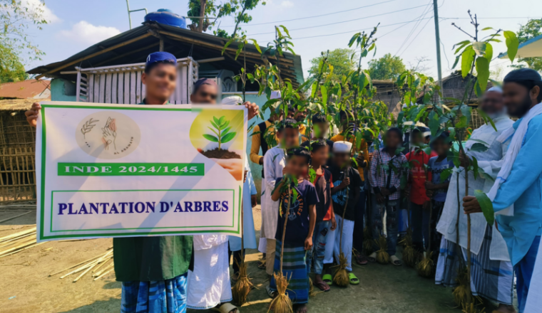 Sadaqa jariya pour 2 € - Plantation d'arbres