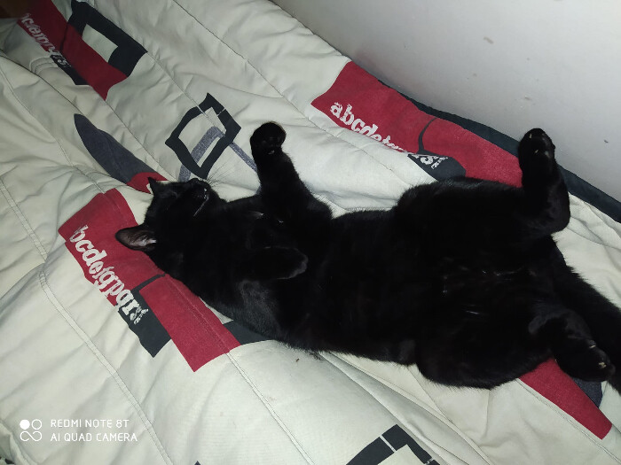 Image justificative de la cagnotte