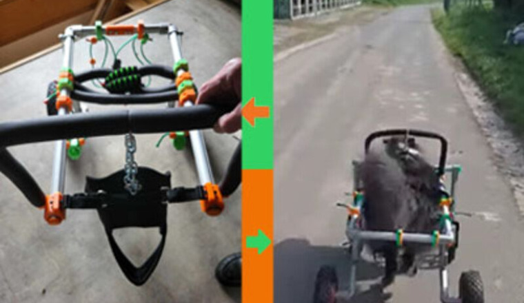 Pour aider Car'Os