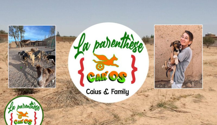 le refuge des petits handicapés de Car'os au Maroc
