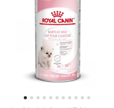 Lait pour les chatons Royal Canin