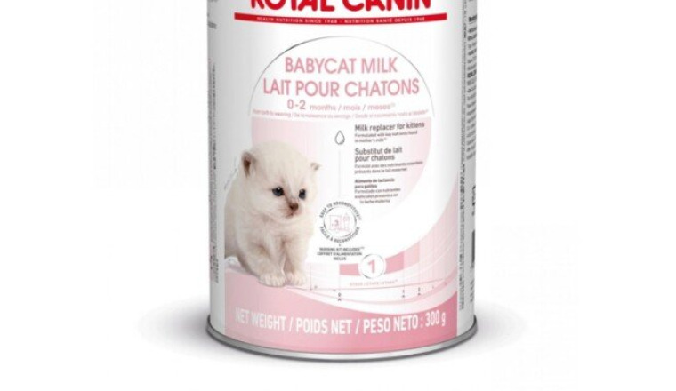 Lait pour les chatons Royal Canin