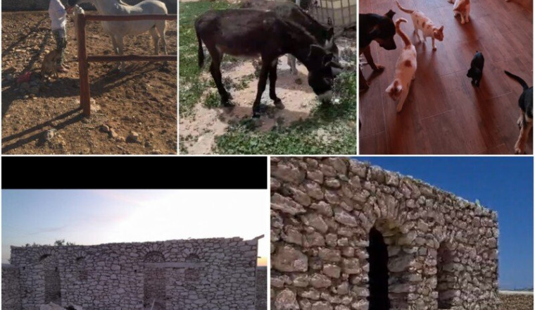 Emma a besoin d’aide pour ses animaux