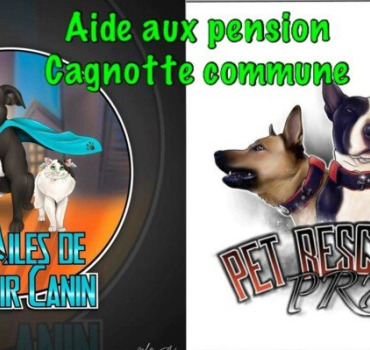 aide aux pensions cagnotte commune partenariat