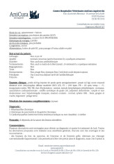 Image justificative de la cagnotte