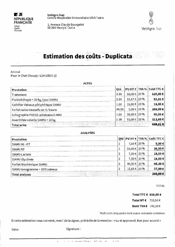 Image justificative de la cagnotte