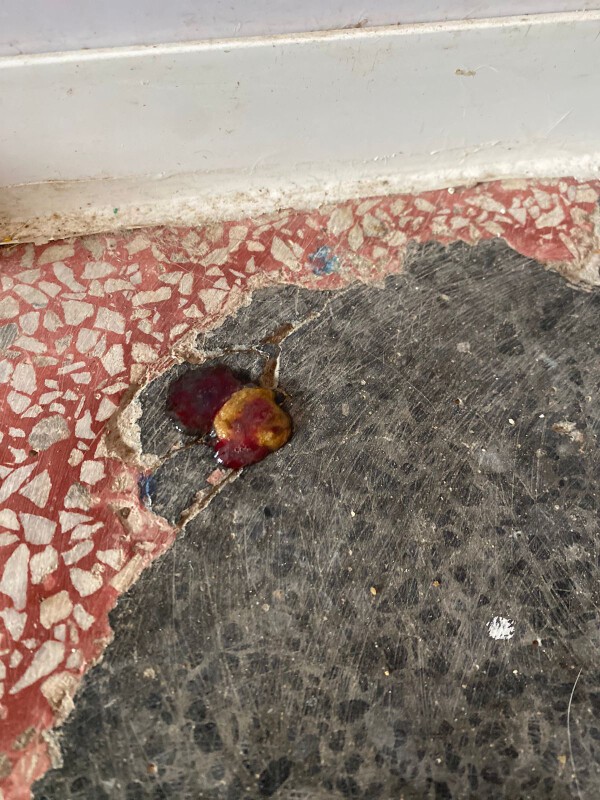 Image justificative de la cagnotte