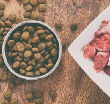 Croquettes pour l’été ranch beldi 2024