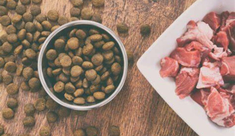 Croquettes pour l’été ranch beldi 2024