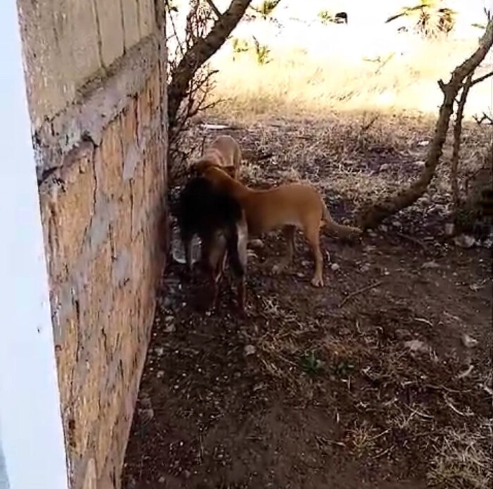 Image justificative de la cagnotte