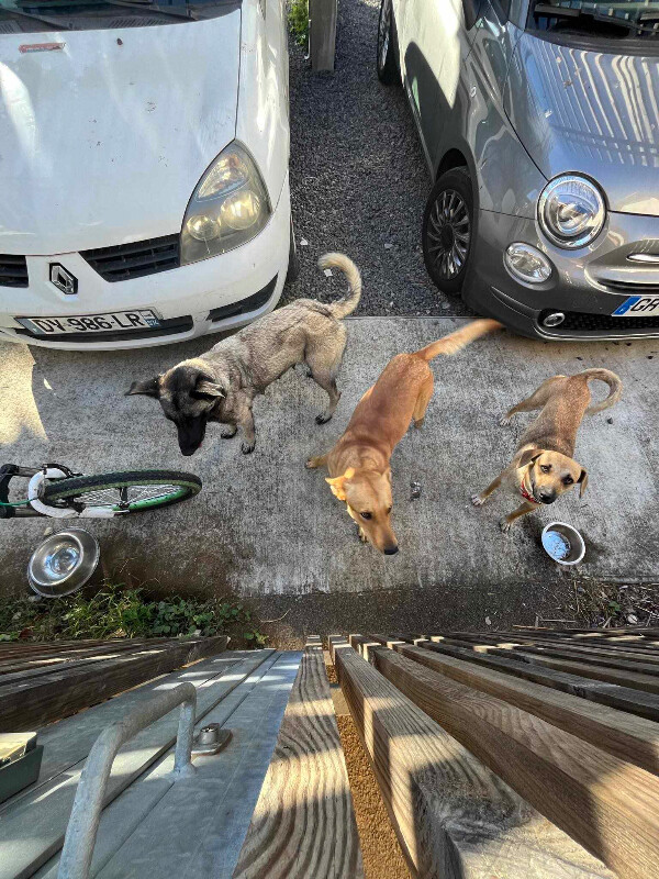 Image justificative de la cagnotte