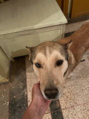 Image justificative de la cagnotte