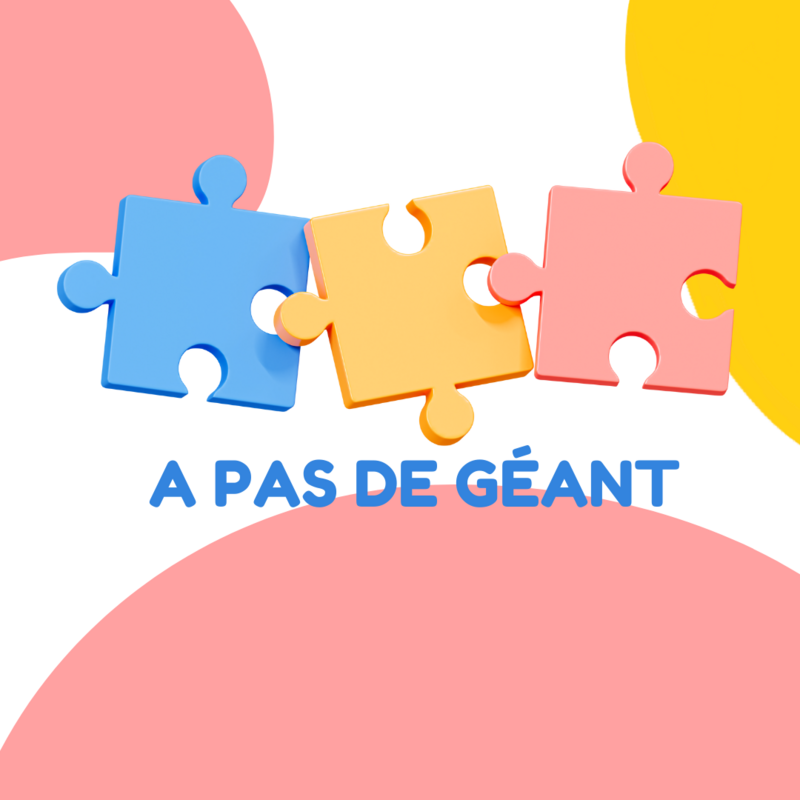 A PAS DE GEANT CREATION ENTREPRISE