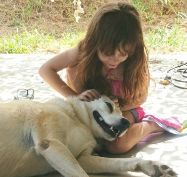 Faire rentrer fifille et simba en France