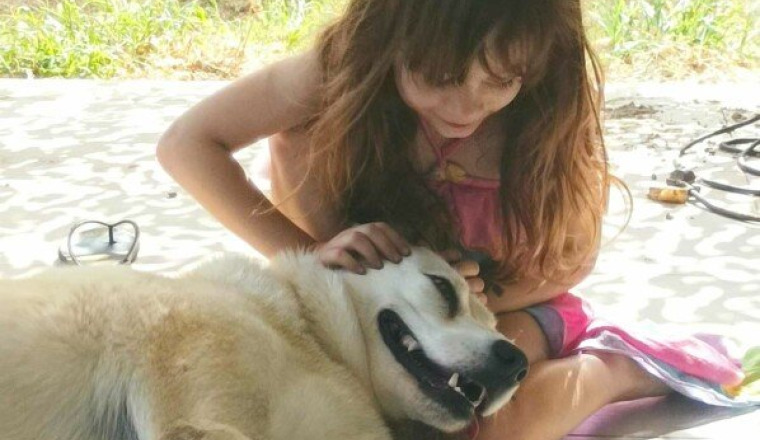Faire rentrer fifille et simba en France
