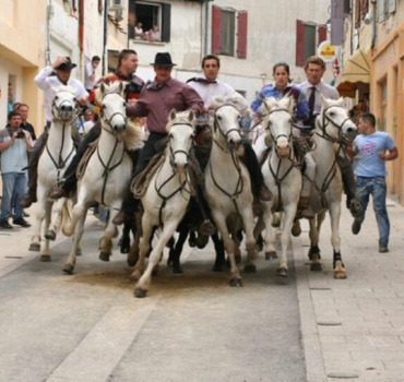 17 août des anciens festés and co