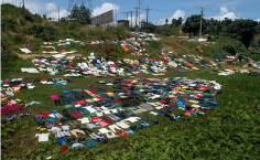 Image justificative de la cagnotte