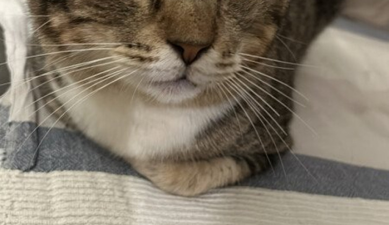 Oscar