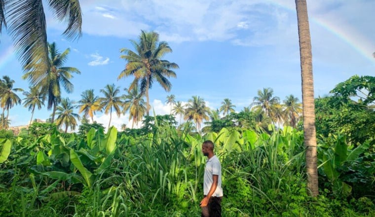 L'Afrique rayonne avec Timuntu Travel
