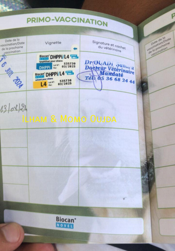 Fundraising proof image