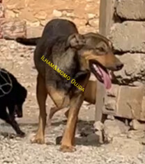 Fundraising proof image