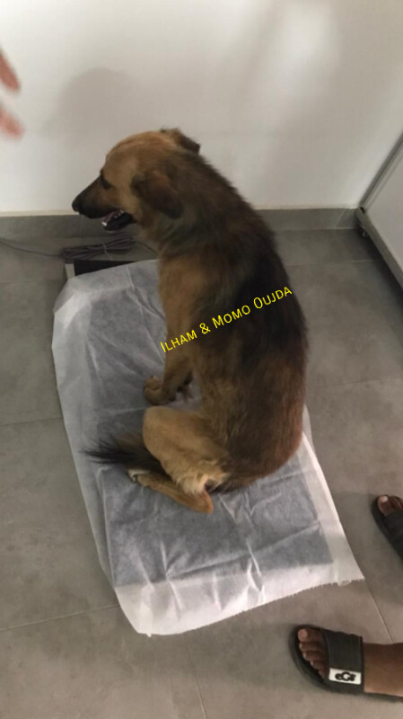 Fundraising proof image