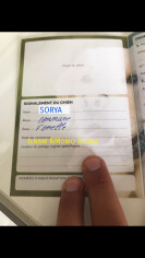 Fundraising proof image