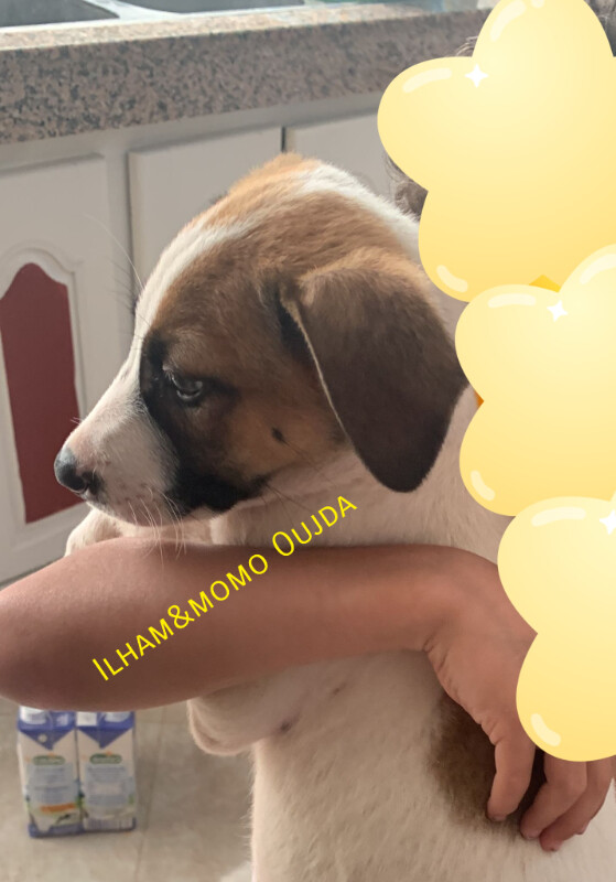 Fundraising proof image