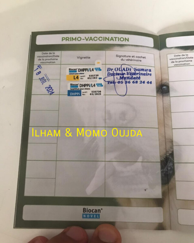Fundraising proof image