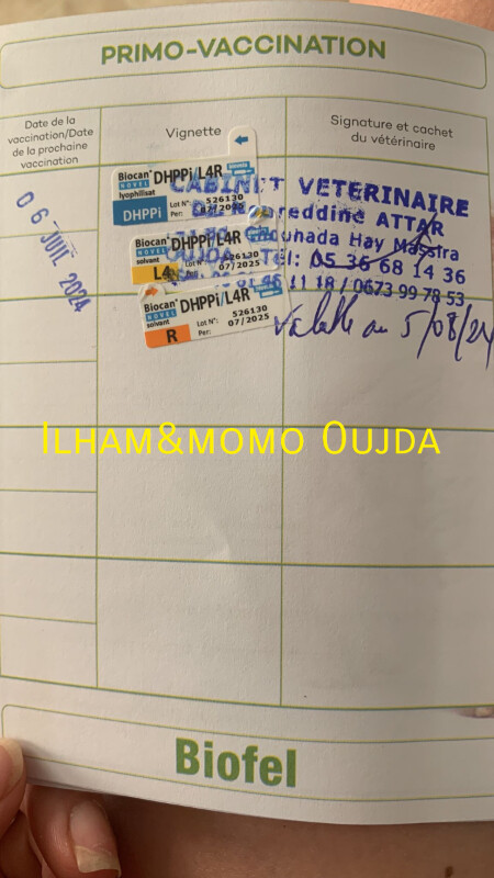 Fundraising proof image