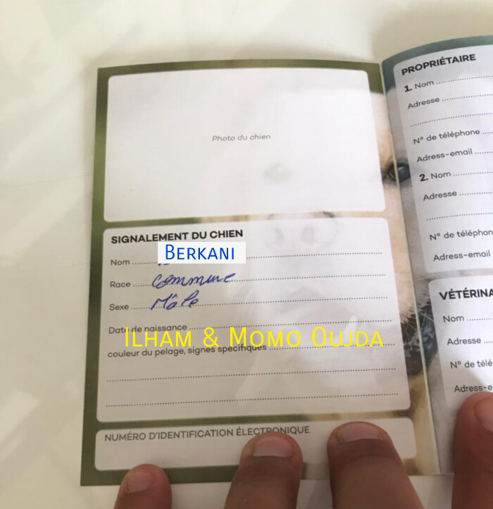 Fundraising proof image