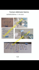 Fundraising proof image