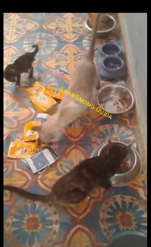 Fundraising proof image