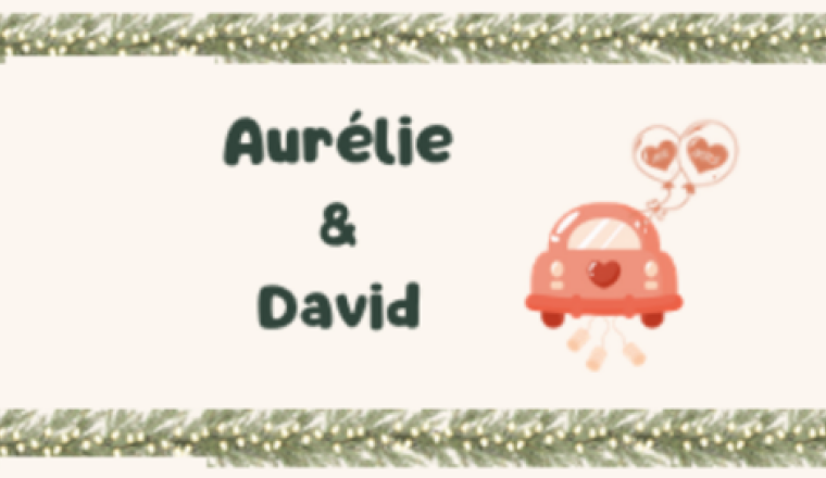 Mariage Aurélie et David Labarthe