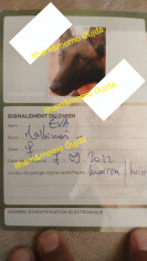 Image justificative de la cagnotte