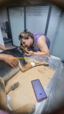Image justificative de la cagnotte