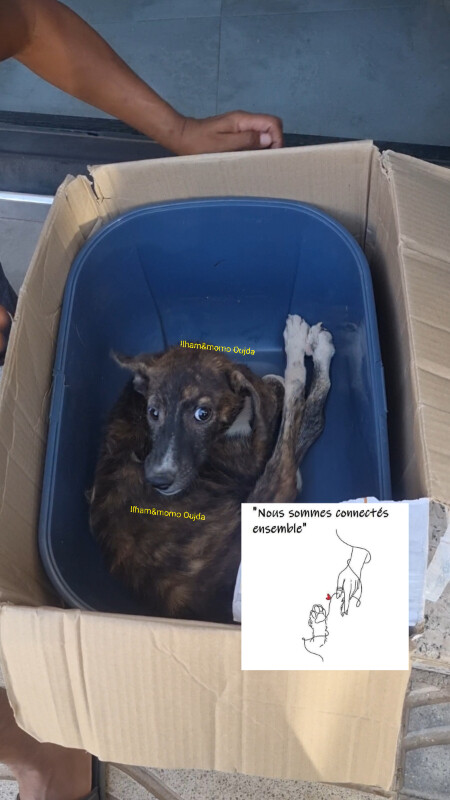 Image justificative de la cagnotte