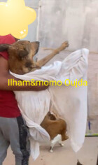 Image justificative de la cagnotte