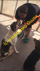 Image justificative de la cagnotte