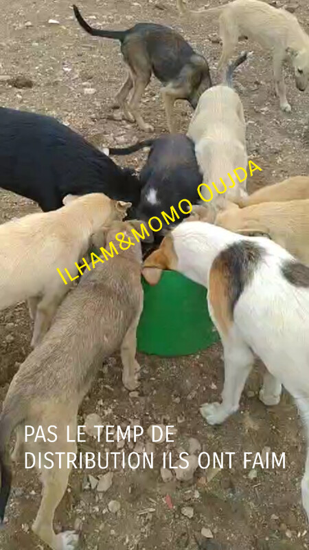 Image justificative de la cagnotte
