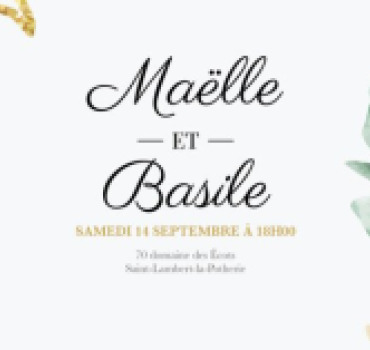 PACS - Maëlle & Basile 💍