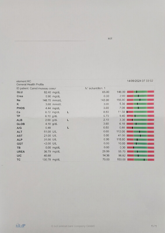 Fundraising proof image