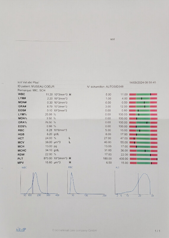 Fundraising proof image