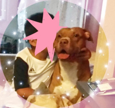 15 jours pour garder Simba dans la famille