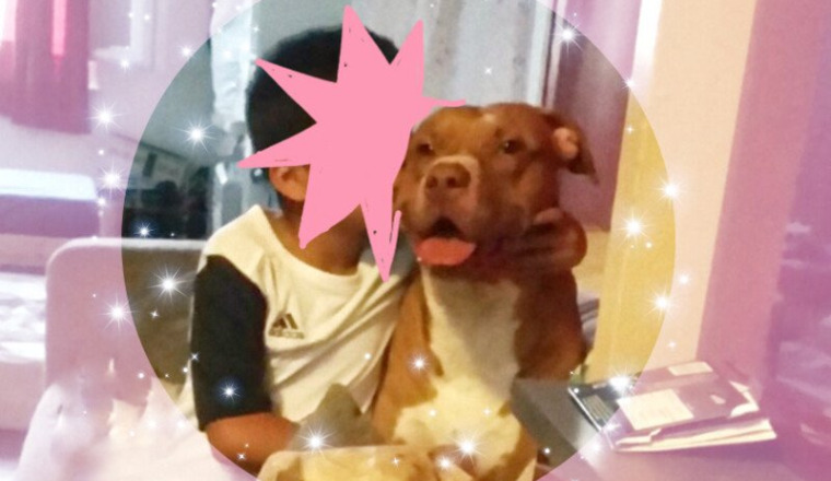 15 jours pour garder Simba dans la famille