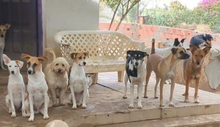 Aide pour le refuge Hope Shelter sidi thabet