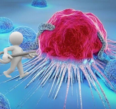 Frais de traitement du Cancer de notre sœur Ikrame