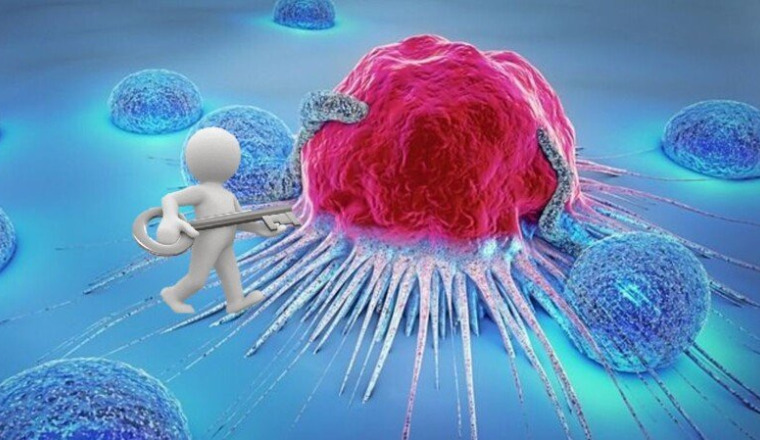 Frais de traitement du Cancer de notre sœur Ikrame