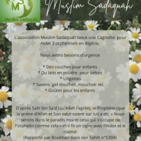 Aidons les orphelins d’Algérie
