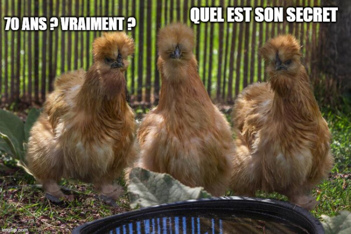 Image justificative de la cagnotte